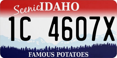 ID license plate 1C4607X