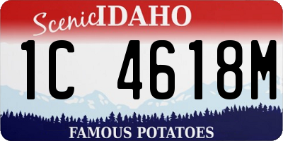 ID license plate 1C4618M