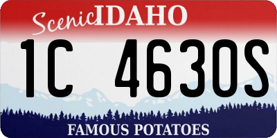 ID license plate 1C4630S