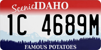 ID license plate 1C4689M