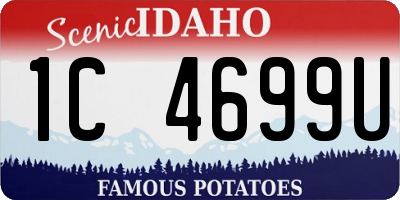 ID license plate 1C4699U