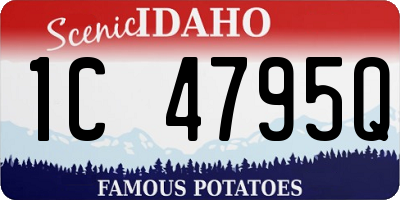 ID license plate 1C4795Q