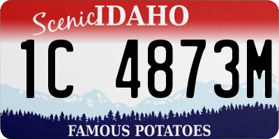 ID license plate 1C4873M