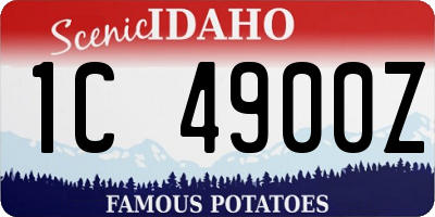 ID license plate 1C4900Z