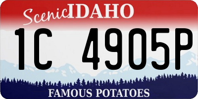 ID license plate 1C4905P