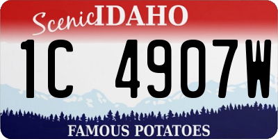 ID license plate 1C4907W