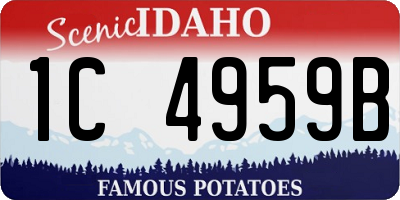 ID license plate 1C4959B