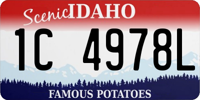 ID license plate 1C4978L