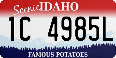 ID license plate 1C4985L