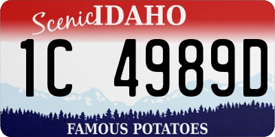 ID license plate 1C4989D