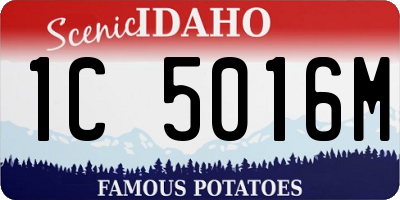 ID license plate 1C5016M