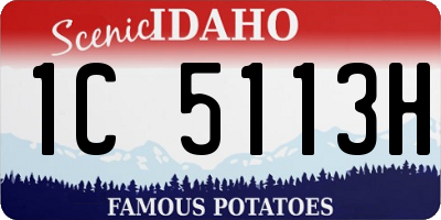 ID license plate 1C5113H