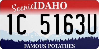 ID license plate 1C5163U