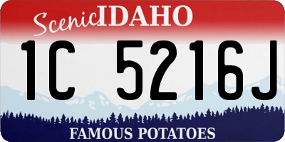 ID license plate 1C5216J