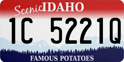 ID license plate 1C5221Q