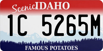 ID license plate 1C5265M