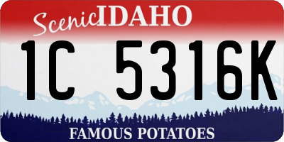 ID license plate 1C5316K