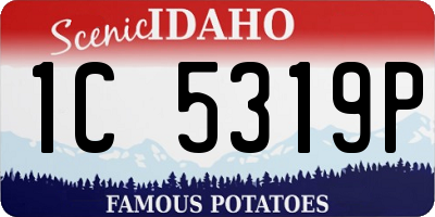 ID license plate 1C5319P
