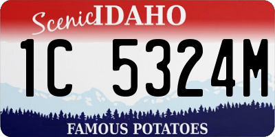 ID license plate 1C5324M