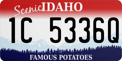 ID license plate 1C5336Q
