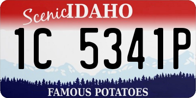 ID license plate 1C5341P