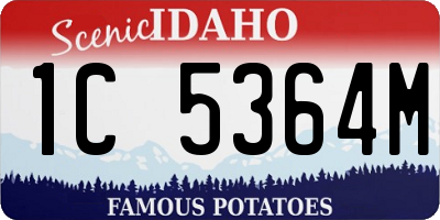 ID license plate 1C5364M