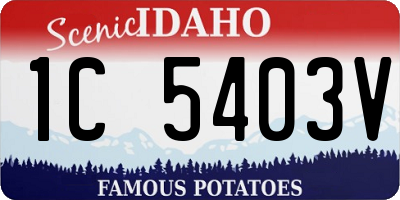 ID license plate 1C5403V