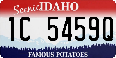 ID license plate 1C5459Q