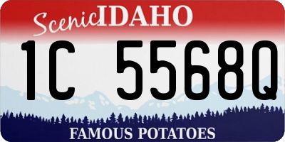 ID license plate 1C5568Q
