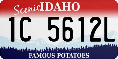 ID license plate 1C5612L