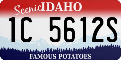 ID license plate 1C5612S