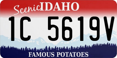 ID license plate 1C5619V