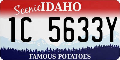 ID license plate 1C5633Y