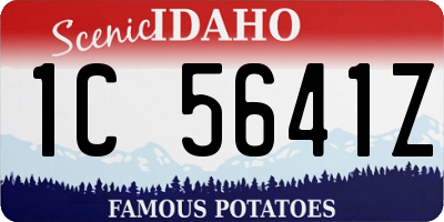 ID license plate 1C5641Z