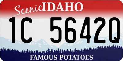 ID license plate 1C5642Q