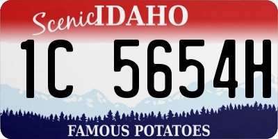 ID license plate 1C5654H