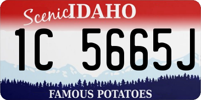 ID license plate 1C5665J