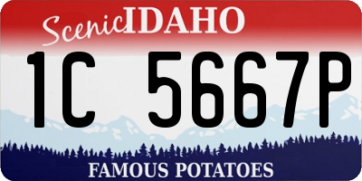 ID license plate 1C5667P