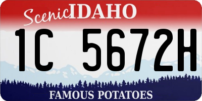 ID license plate 1C5672H