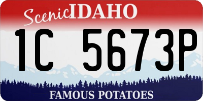 ID license plate 1C5673P