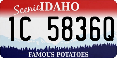 ID license plate 1C5836Q
