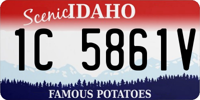 ID license plate 1C5861V