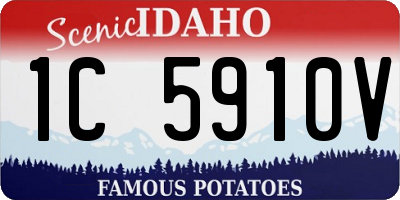 ID license plate 1C5910V