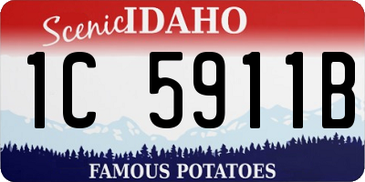 ID license plate 1C5911B