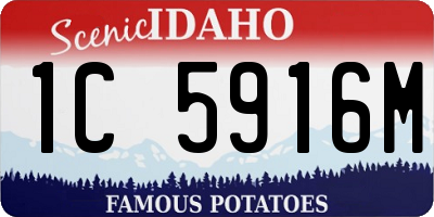 ID license plate 1C5916M