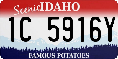 ID license plate 1C5916Y