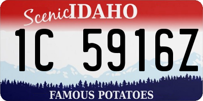 ID license plate 1C5916Z
