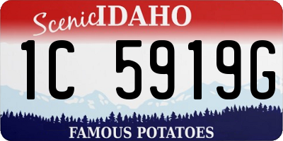 ID license plate 1C5919G