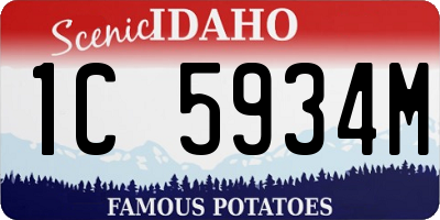 ID license plate 1C5934M