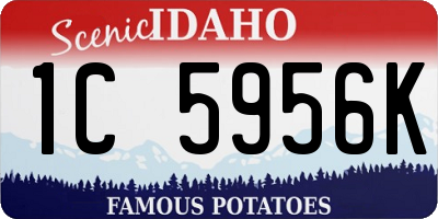 ID license plate 1C5956K
